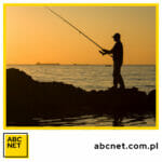 Sygnalizator brań podwieszany