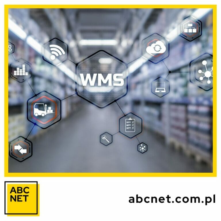 co to są systemy wms