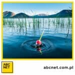 Wędkarskie sygnalizatory brań. Co to jest i jak działa?