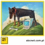 Jak zwiększyć bezpieczeństwo sieci VPN?