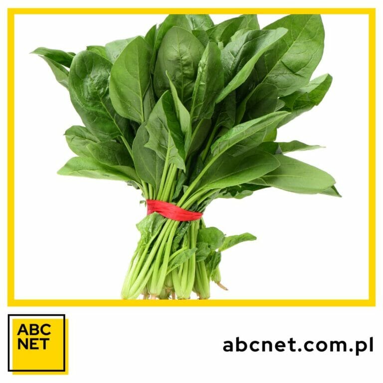 dieta bogata w żelazo