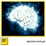 dieta dla mózgu