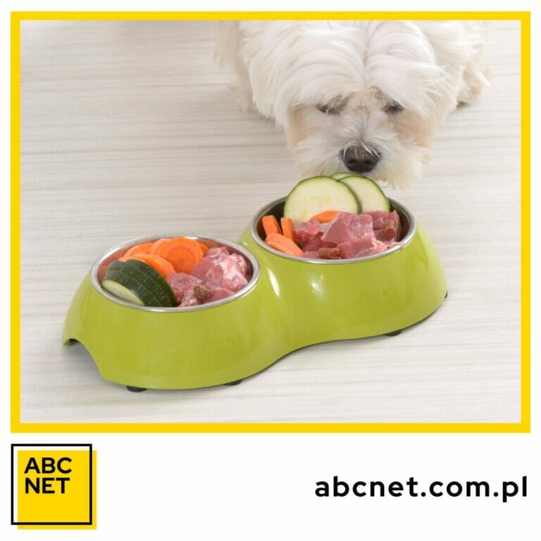 dieta dla psa