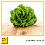 dieta dukana. co to jest dieta dukana