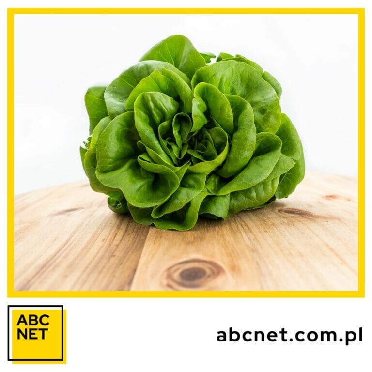 dieta dukana. co to jest dieta dukana