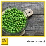 dieta ketogeniczna a groszek – co warto wiedzieć