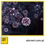 dieta zapobiegająca rakowi