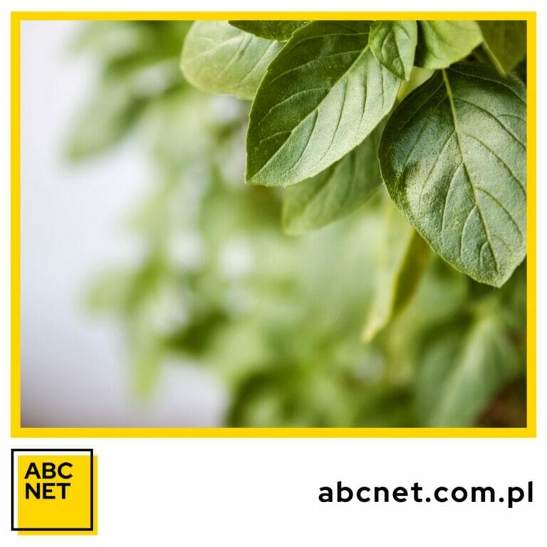 zioła przeciwzapalne