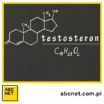 jak podnieść poziom testosteronu. sprawdzone sposoby na podniesienie testosteronu u mężczyzn