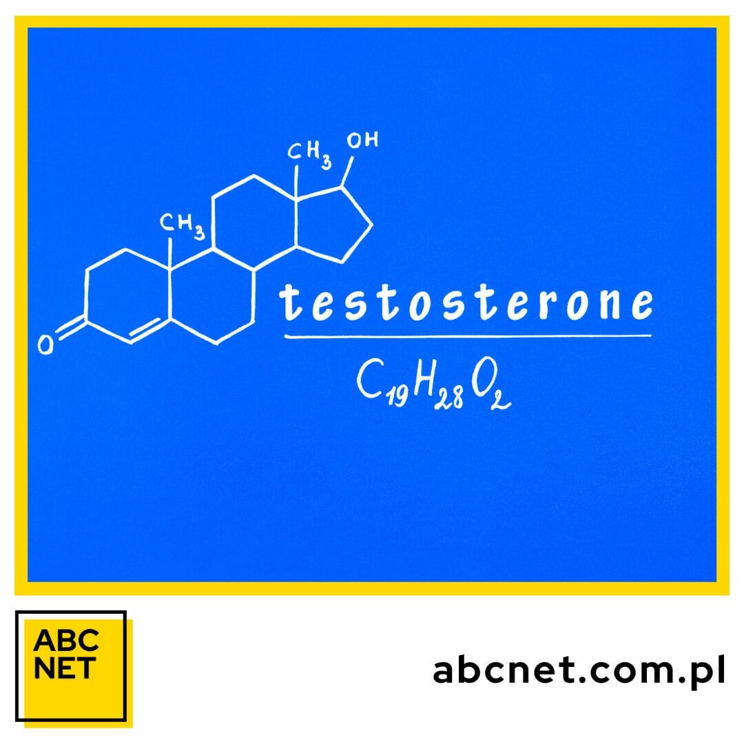 testosteron. co to jest i do czego służy
