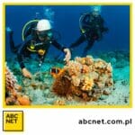 zegarek do nurkowanie (diver). co to jest i jak działa czym kierować się przy wyborze zegarka do nurkowania