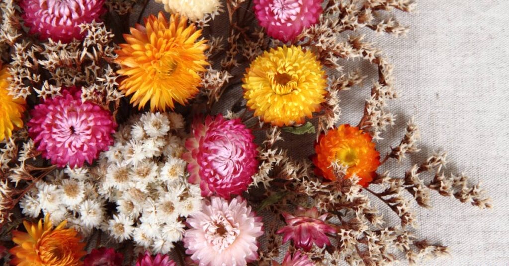 styl prowansalski suszone kwiaty