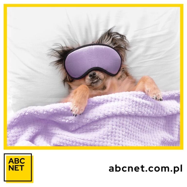 posłanie dla psa jak uszyć i jakie wybrać materiały