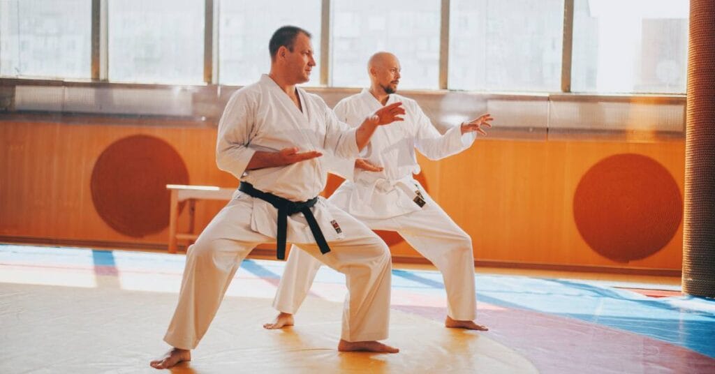 jiu jitsu – techniki samoobrony rozwoj i wplyw na inne sztuki walki1