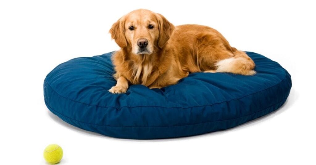tkaniny dla zwierzat legowisko dla psa