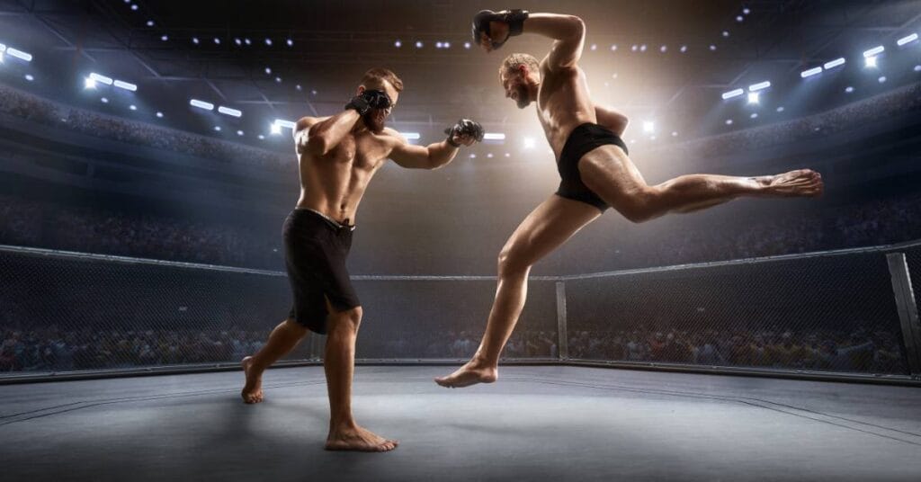 wspolczesne adaptacje i wplyw japonskich sztuk walki na swiatowe mma