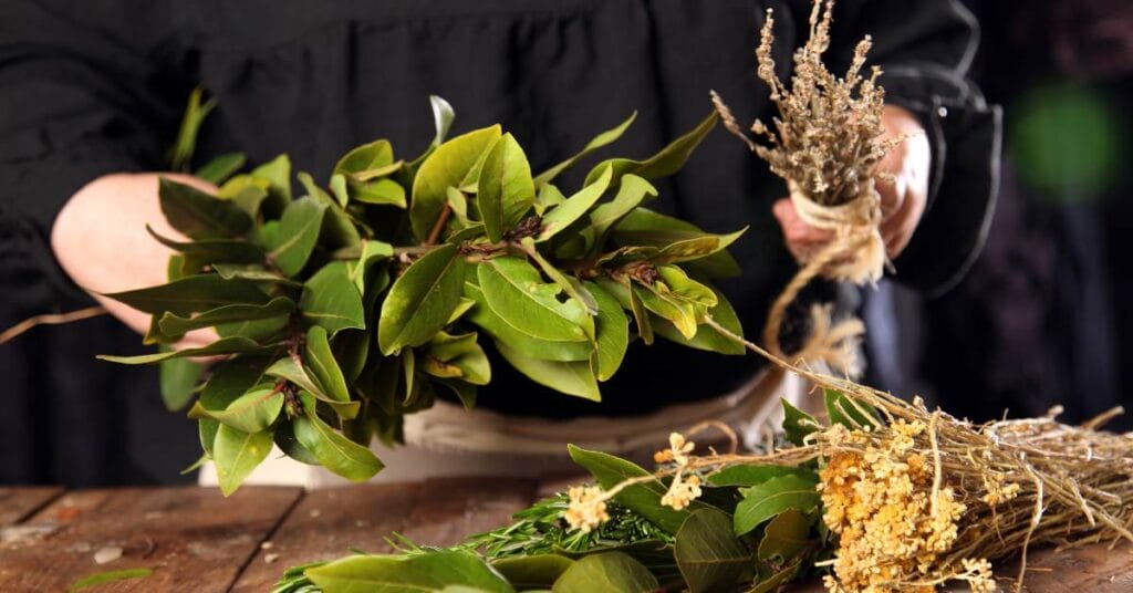 galazki laurowe do dekoracji