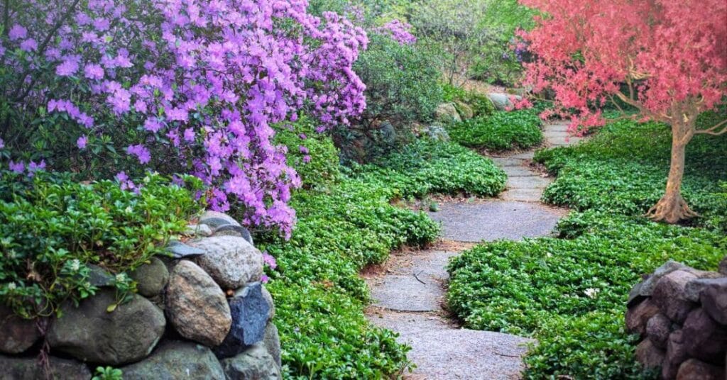 beton b20 sciezki ogrodowe