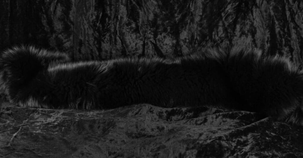 nietoperz na halloween stroj 