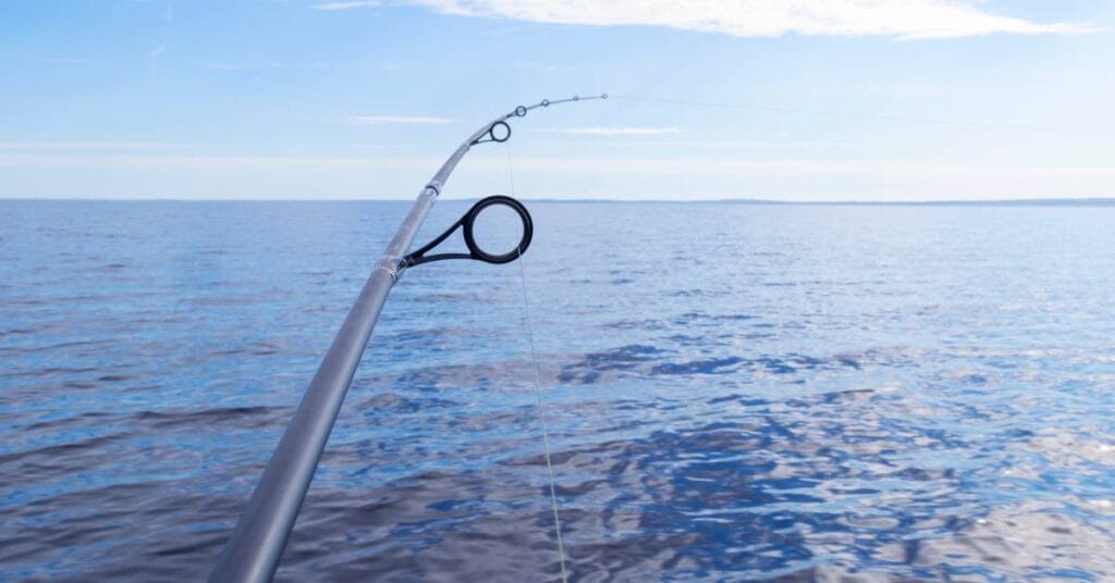 wedki spinningowe widok na wodzie