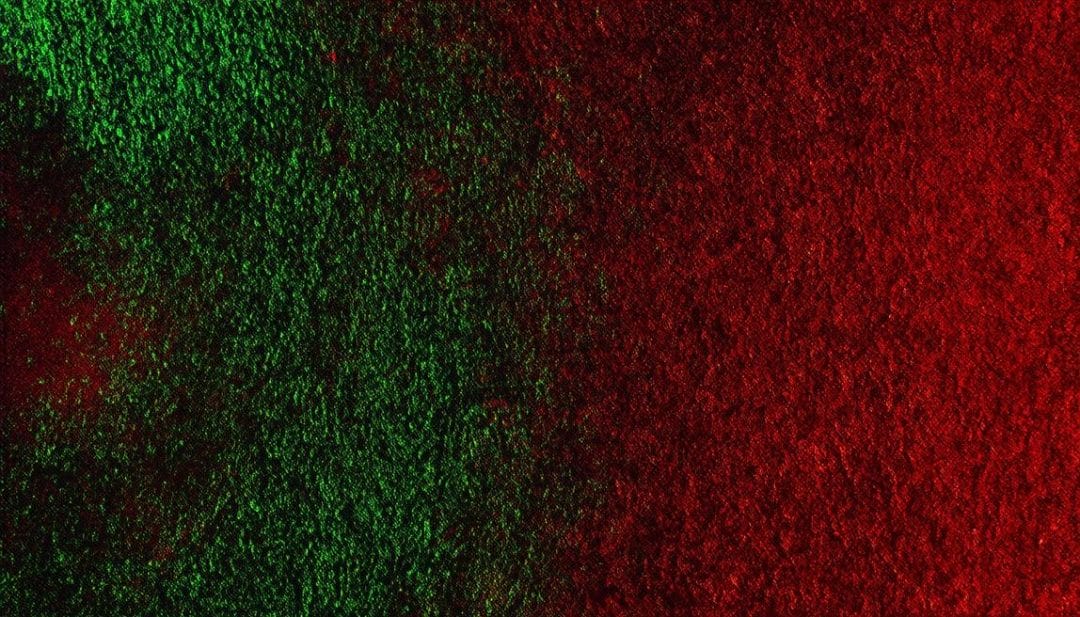 czerwien uniwersytetu pensylwanii