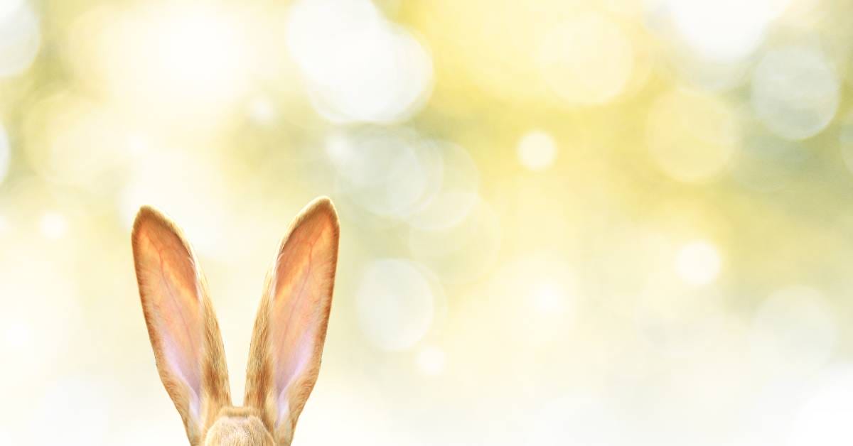 wielkanoc historia i tradycje glowne